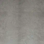 24203091 - SILVER